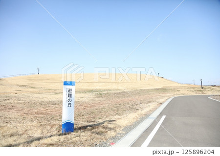 荒浜地区 避難の丘 荒浜地区 避難の丘 125896204