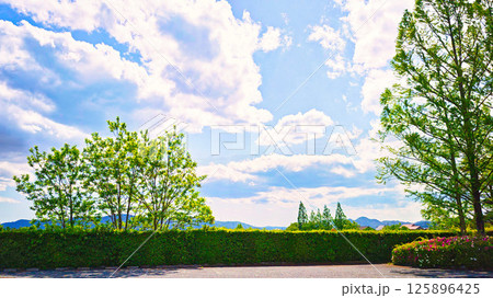 青空に白雲わき起こり、樹々は新緑、若葉吹く頃 125896425