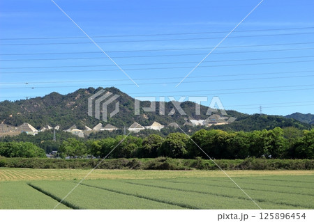 滋賀県大津市　堂山と山腹で建設中の高速道路 125896454