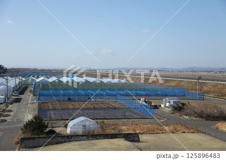 荒浜地区 避難の丘 荒浜地区 避難の丘 125896483