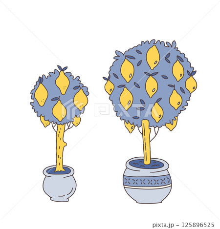 Citrus trees in the pots set. Potted lemon trees in doodle hand drawn vector style. Citrus trees in the pots set. Potted lemon trees in doodle hand drawn vector style. 125896525
