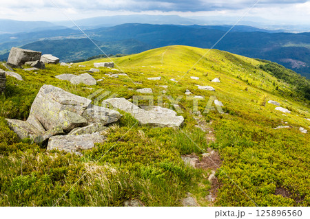 mountain landscape with cloudy sky in summer. picturesque highland of ukraine. travel nature background with rocks among grass on the slope of a hill. beautiful alpine scenery of carpathian range 125896560