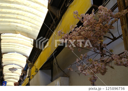 シャッター街となった商店街に飾られる桜とアーケード 125896736