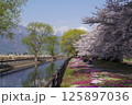 信州 安曇野 北アルプス常念岳と拾ヶ堰(じっかせぎ) 春 桜のある風景 安曇野人気撮影ポイント 信州 安曇野 北アルプス常念岳と拾ヶ堰(じっかせぎ) 春 桜のある風景 安曇野人気撮影ポイント 125897036