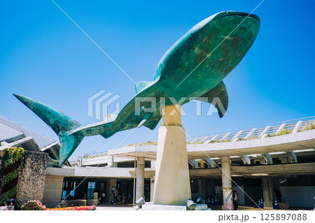 沖縄美ら海水族館入口 沖縄美ら海水族館入口 125897088