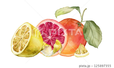 Composition with slice and whole Grapefruit and Lemon, Orange. Hand drawn watercolor illustration of orange tropical citrus fruit and leaves on white isolated background. Half grapefruit Composition with slice and whole Grapefruit and Lemon, Orange. Hand drawn watercolor illustration of orange tropical citrus fruit and leaves on white isolated background. Half grapefruit 125897355