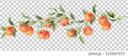 Grapefruit big Branch. Hand drawn watercolor illustration of orange red tropical citrus Food on white isolated background. Drawing of grapefruit tree with green leaves. Sketch of juicy for menu. 125897357