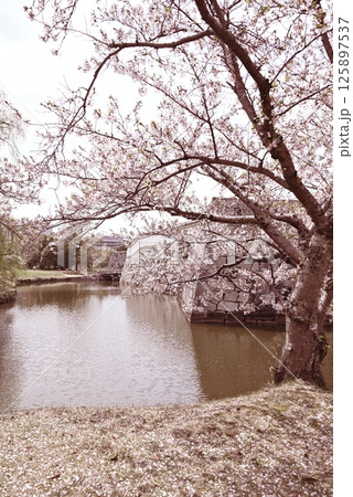 大石神社　ご本堂の外観 125897537