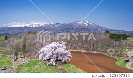 「岩手県」為内の一本桜の風景 125897550
