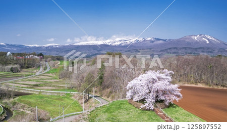 「岩手県」為内の一本桜の風景 125897552