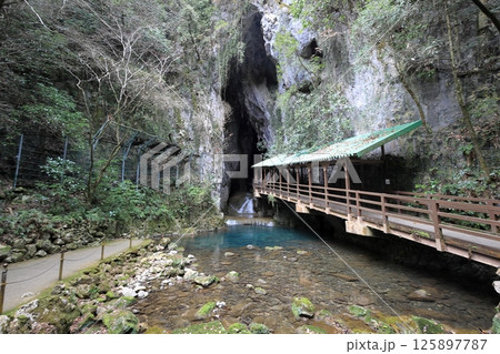 秋芳洞 入口 (山口) 125897787