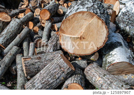 Close-up of Chopped Firewood Logs Stacked in Rural Yard for Winter Close-up of Chopped Firewood Logs Stacked in Rural Yard for Winter 125897907