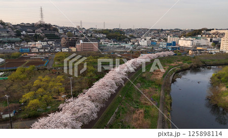 鶴見川・鴨居の桜並木(空撮) - 神奈川県横浜市,日本 鶴見川・鴨居の桜並木(空撮) - 神奈川県横浜市,日本 125898114