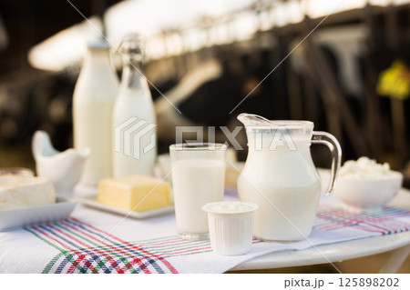 Milk, cottage cheese, cream, cheese on the table against the background of cows Milk, cottage cheese, cream, cheese on the table against the background of cows 125898202