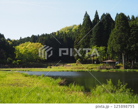 奈良県　龍王ケ淵 125898755