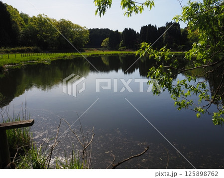 奈良県　龍王ケ淵 125898762