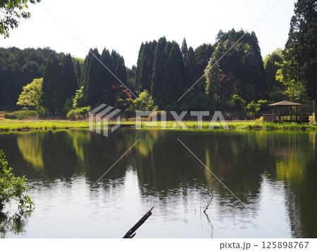 奈良県 龍王ケ淵 奈良県 龍王ケ淵 125898767