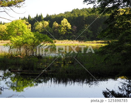 奈良県 龍王ケ淵 奈良県 龍王ケ淵 125898785