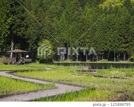 奈良県　龍王ケ淵 125898795