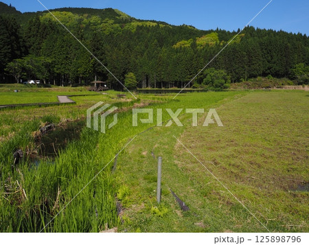 奈良県 龍王ケ淵 奈良県 龍王ケ淵 125898796