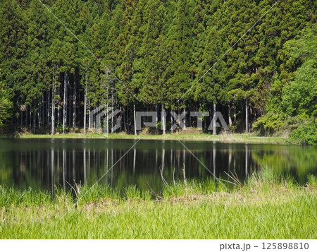 奈良県 龍王ケ淵 奈良県 龍王ケ淵 125898810