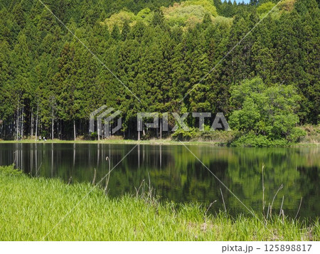 奈良県 龍王ケ淵 奈良県 龍王ケ淵 125898817