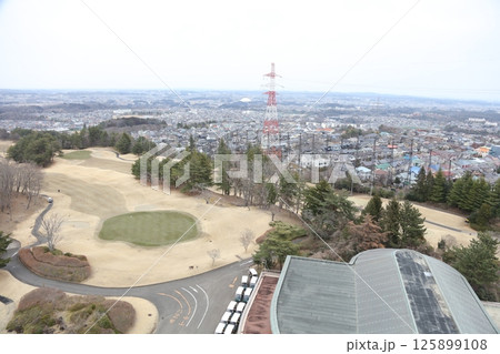 仙台大観音からの仙台市街地 125899108