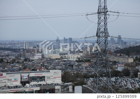 仙台大観音からの仙台市街地 仙台大観音からの仙台市街地 125899309