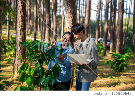 Harvest coffee bean ripe Red berries typing laptop computer check quality control plant coffee tree. Smart farmer using laptop in green coffee farm sustainable quality control agriculture technology 125899645