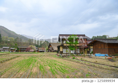 曇天の白川郷 曇天の白川郷 125899934