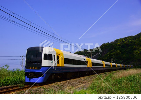 緑と海の間を行く255系・新宿さざなみ 125900530