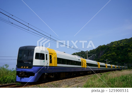房総の自然を走る特急新宿さざなみ 125900531