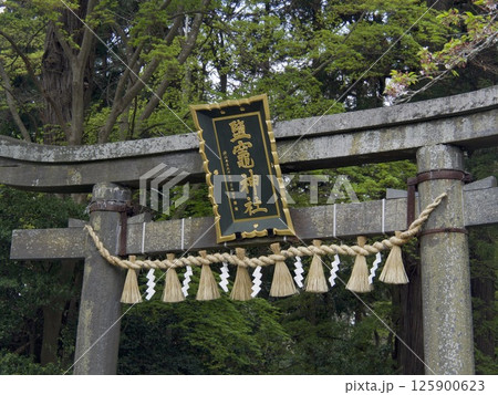 塩釜神社 125900623