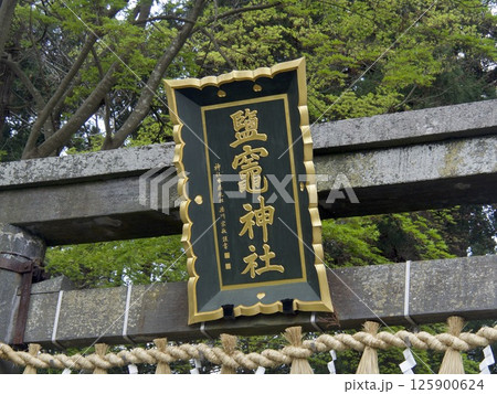 塩釜神社 125900624