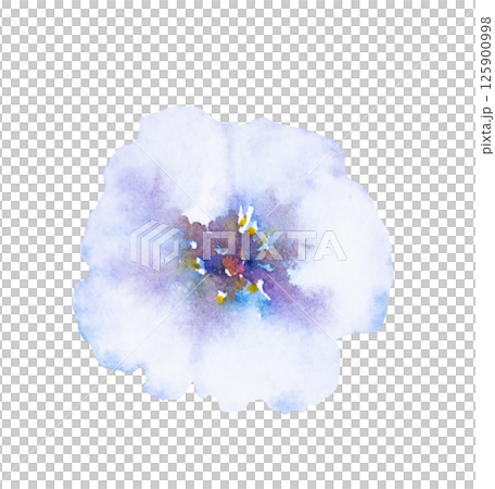 Watercolor light blue wild flower isolated illustration, floral wedding and greeting element Watercolor light blue wild flower isolated illustration, floral wedding and greeting element 125900998