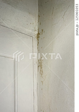 Mold and Mildew Stains on White Wall Corner by Door Highlighting Moisture Damage and Household Decay Mold and Mildew Stains on White Wall Corner by Door Highlighting Moisture Damage and Household Decay 125901053