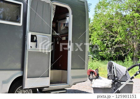 愛犬とキャンピングカー オートキャンプ チワワ 愛犬とキャンピングカー オートキャンプ チワワ 125901151