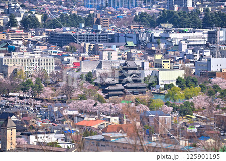 《長野県》松本市城山公園からの展望　松本城と松本市の街並み 125901195