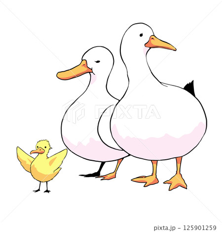 かわいいアヒルの親子のイラスト素材 125901259