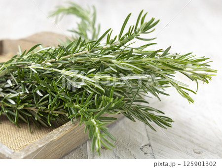 Fresh green rosemary sprigs in a tray on white rustic table closeup. Aromatic herb for culinary 125901302