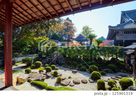 紅葉に包まれた秋の西教寺 大本坊庭園 紅葉に包まれた秋の西教寺 大本坊庭園 125901319