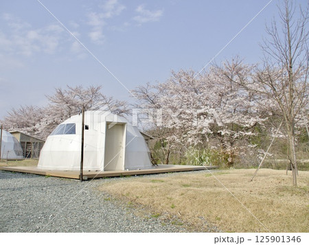 グランピング施設 125901346