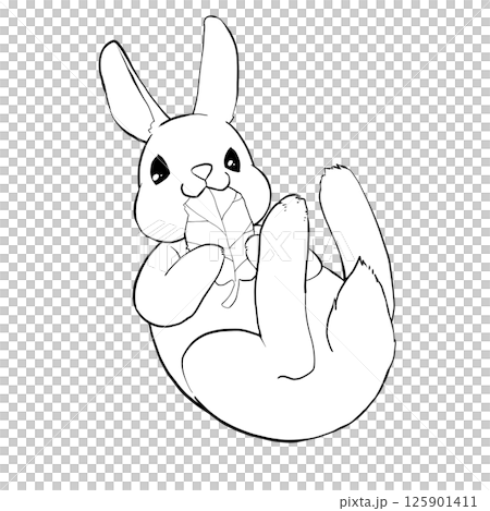 Illustration of a rolling rabbit 125901411