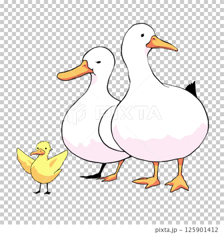 可愛的鴨子家族插畫素材 125901412