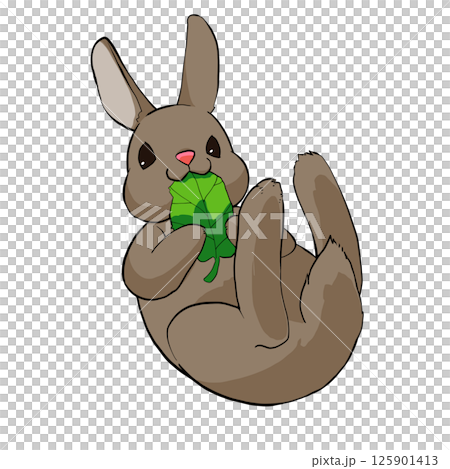Illustration of a rolling rabbit Illustration of a rolling rabbit 125901413