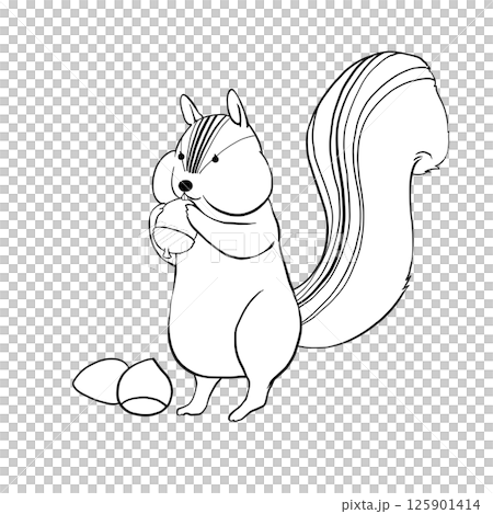 Illustration material of a squirrel holding an acorn Illustration material of a squirrel holding an acorn 125901414