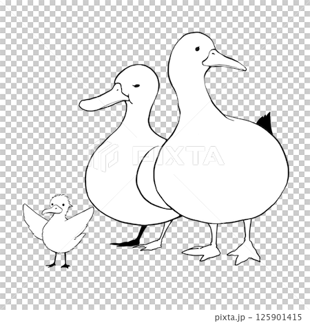 可愛的鴨子家族插畫素材 可愛的鴨子家族插畫素材 125901415