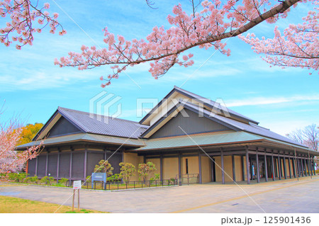愛知県名古屋市、名古屋能楽堂と満開の桜の風景 愛知県名古屋市、名古屋能楽堂と満開の桜の風景 125901436