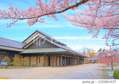 愛知県名古屋市、名古屋能楽堂と満開の桜の風景 愛知県名古屋市、名古屋能楽堂と満開の桜の風景 125901437