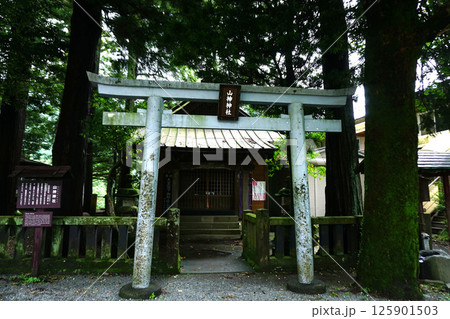 箱根大平台 山神神社 箱根大平台 山神神社 125901503